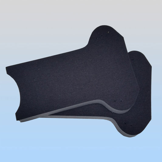 AP16® 1" Foam Inserts (pair) image 0